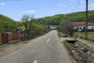 Casă cu 5 camere cu Teren 1614 Mp în Central - 4