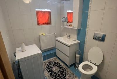 Apartament 3 camere, Miron Costin - 10