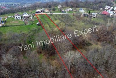 Teren în Borovinești - 2