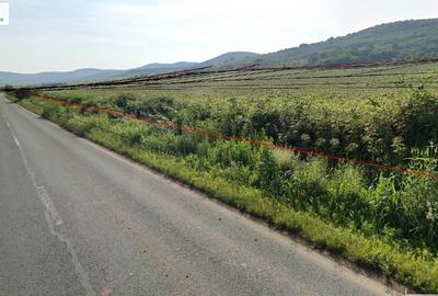 Teren agricol extravilan de 185746 mp, în Șiria - 3