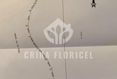 Vanzare PADURE - 3 HA - Varbilau, jud Prahova - 2