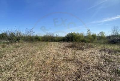 Teren de 900 mp, în Moșoaia - 3