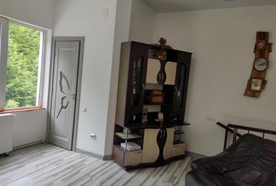 Pensiune in mijlocul naturii!! - 15