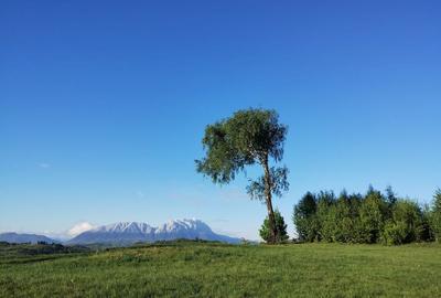 Spațiu comercial, în Holbav - 3