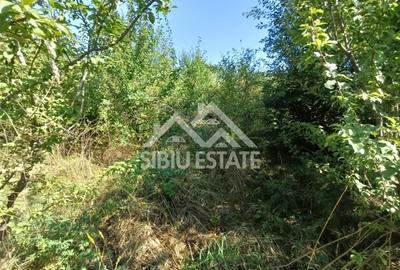 Teren  construibil ,la sosea, intre Vale si Sibiel, zona cu potential - 9