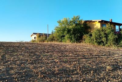 Teren de 5000 mp, în Ciolpani - 3