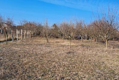 Casă cu 1 camere în Niuved - 2