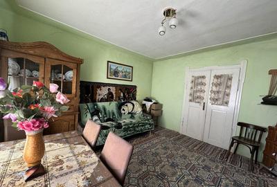 De vanzare Casa cu teren 3500MP in Sabisa/Maramures - 10