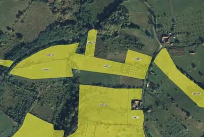 Teren de 1720 mp, în Lupești - 6