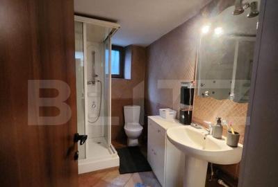 Ocazie Unica! Casa 5 camere, 180 mp, ultracentral - 30