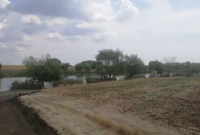 Teren Construcții intravilan de 503 mp, în Berceni