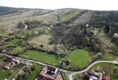 Teren de 3215 mp, în Vărădia de Mureș - 2