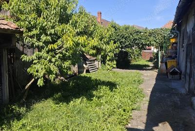 Casa si teren de vanzare - 4