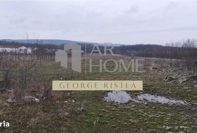 Spațiu comercial, în Țintea - 2