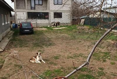 Casă cu 4 camere în Săftica - 3