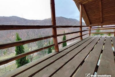 Oportunitate unica! 5ha + 2 cabane de vacanta in Valea Ierii - 18