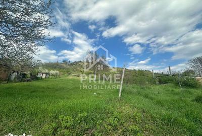Teren de 900 mp, în Vințu de Jos