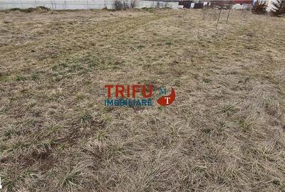Teren de 1375 mp, în Micești