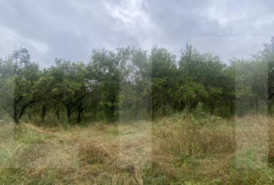 Teren cu poten?ial reziden?ial Simeria, Sfantu Gheorg - 3