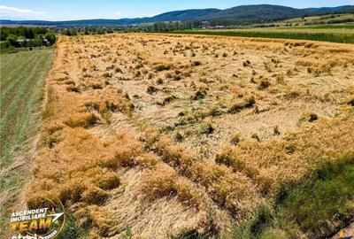 Spațiu comercial, în Valea Crișului - 6
