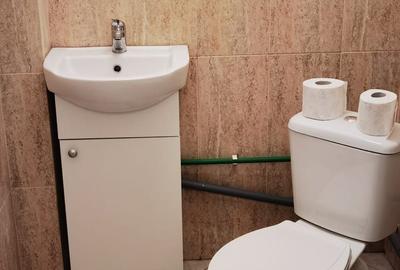 Ap.2 camere la curte - renovat, mobilat, utilat - 14
