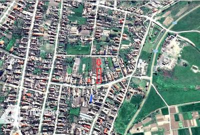 Casa in Loc. Pecica, teren 1602 mp, fs.17 ml, termoteca - 2