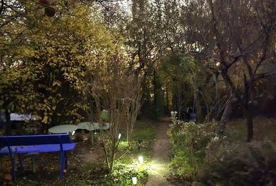 Tudor - Vanzare teren intravilan - Str. Platou - 2