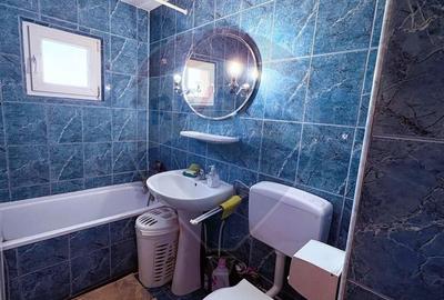 Apartament cu 2 camere decomandat, mobilat în Banu Mărăcine - 7