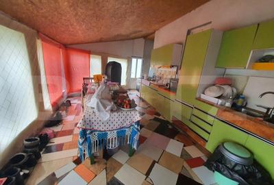 Casa individuala de vanzare, Monariu - 6