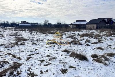 Teren de 3400 mp, în Livezi - 12