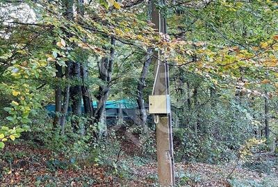 Teren pentru casa de vacanta pe Valea Bratcutei, Bihor - 5