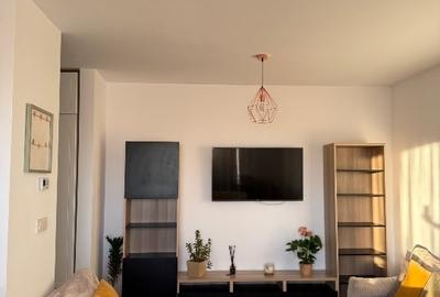 Apartament cu 2 camere decomandat, mobilat în Torontalului - 9