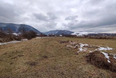 Teren de 1830 mp, în Nucșoara - 1