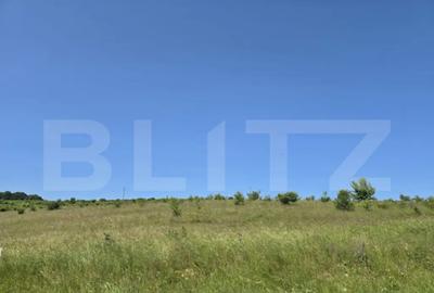 Teren de 1100 mp, în Sălicea - 4