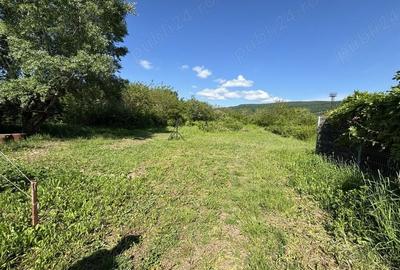 Teren de 2170 mp, în Olteni - 2