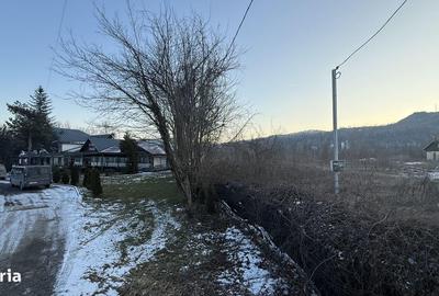 Teren de 10834 mp, în Dumbrăvești - 11