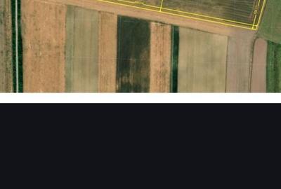 Teren de 70000 mp, în Bicaci - 3