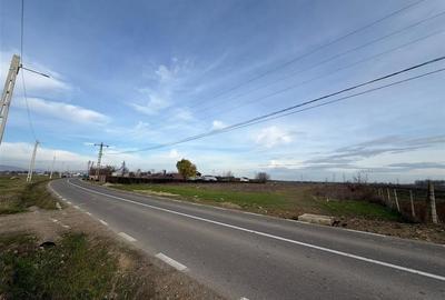 Teren intravilan + extravilan de vanzare in Campineanca str Hotarului - 1