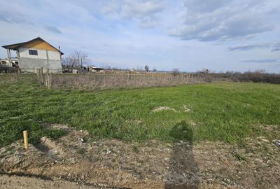 Teren de 1000 mp, în Enoșești - 2