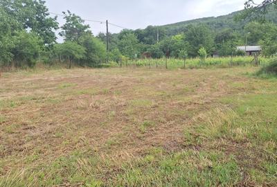 Teren Construcții intravilan de 1200 mp, în Broșteni