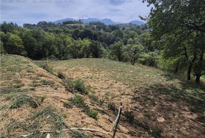 Teren intravilan pentru investitie turistica, 4000 mp, langa - 2