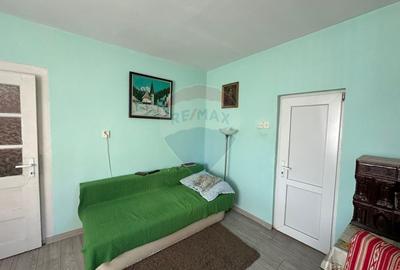 DE VANZARE- GOSPODARIE cu 95 arii teren - 5