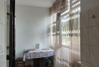 GARSONIERA COCHETA | ETAJ 1 | FAR | MOBILATA - 8