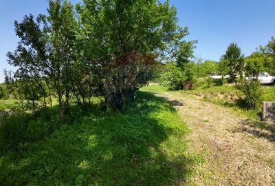 Teren agricol extravilan de 5144 mp, în Est - 3