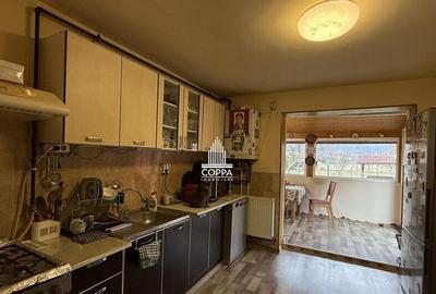 Casa Unguras / 14 Km de Baia Mare - 16