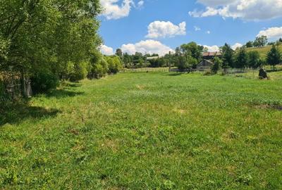 Spațiu comercial, în Toplița - 1