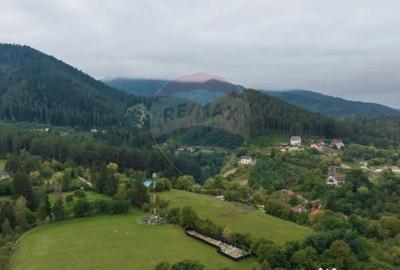 Teren de 2449 mp, în Poiana Angelescu - 5