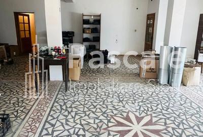 Casă cu 8 camere cu Teren 1674 Mp în Iablanița - 8