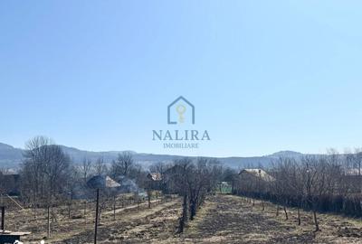 Casă cu 3 camere decomandat cu Teren 5000 Mp în Șișești - 7