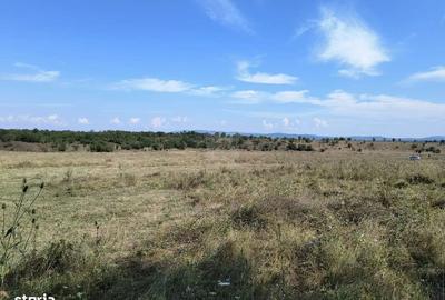 Teren Construcții intravilan de 1000 mp, în Sud-Est - 3